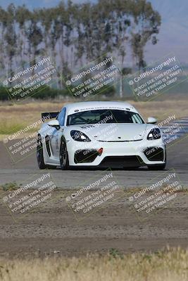 media/May-03-2024-PCA Central Coast (Fri) [[eaa7da0ee1]]/Red Group/Session 1 (Grapevine)/